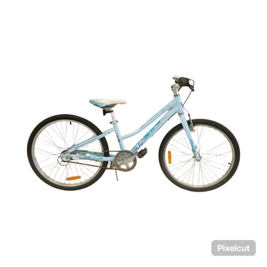 Liv Beer Bike - 24
